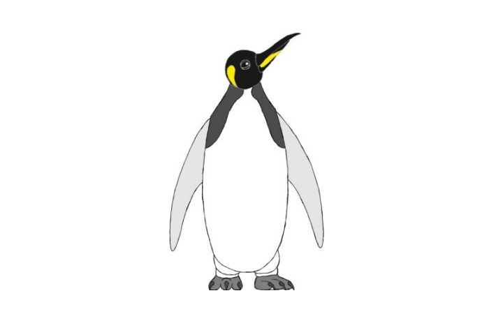 How to Draw a Penguin