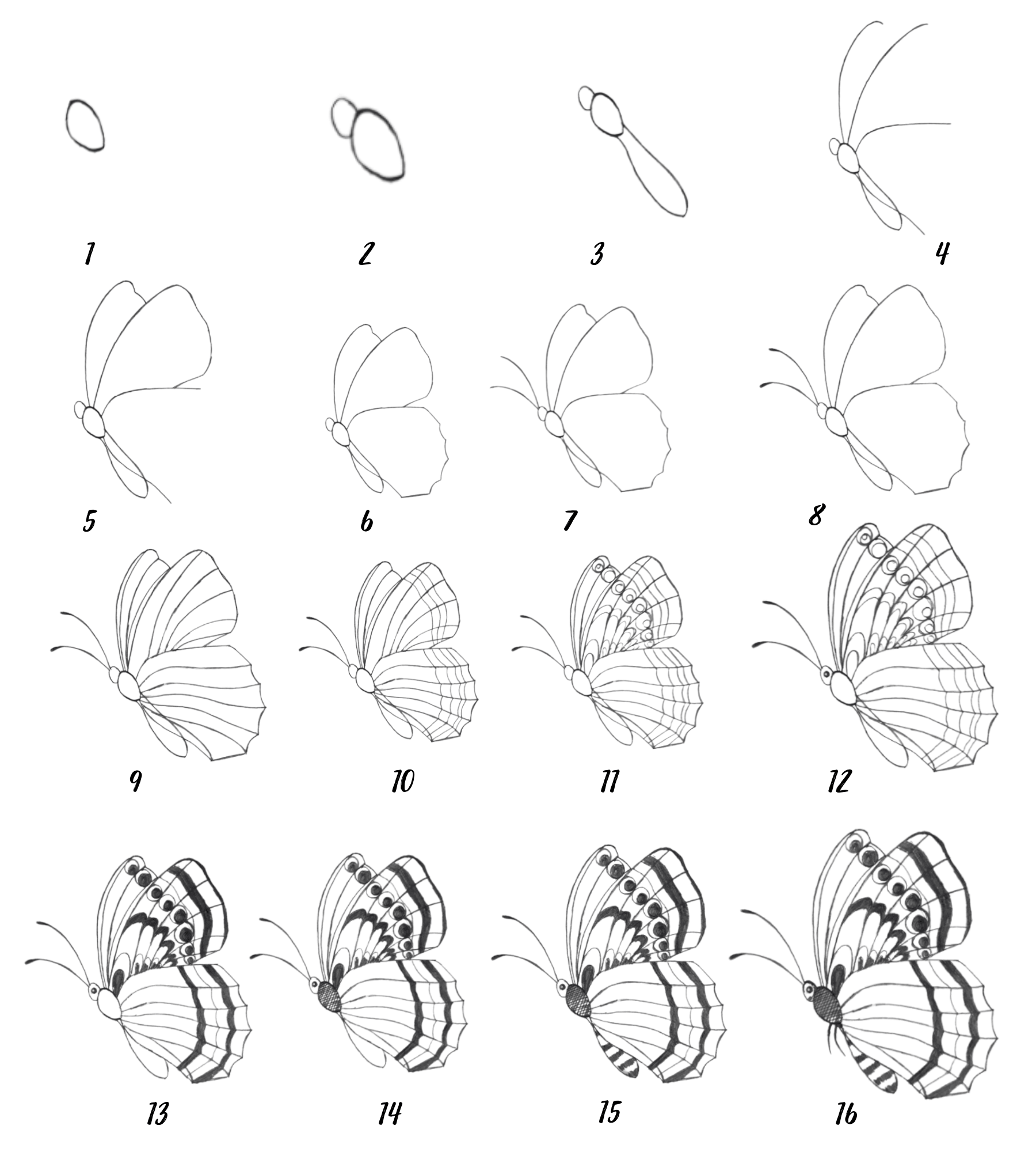 How to draw a butterfly