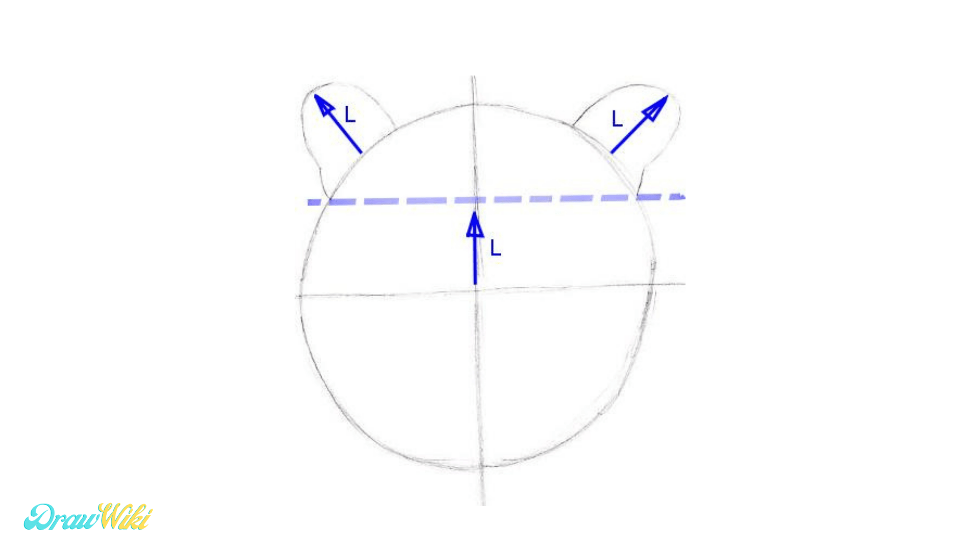 Step 2: Draw a Tiger Ears