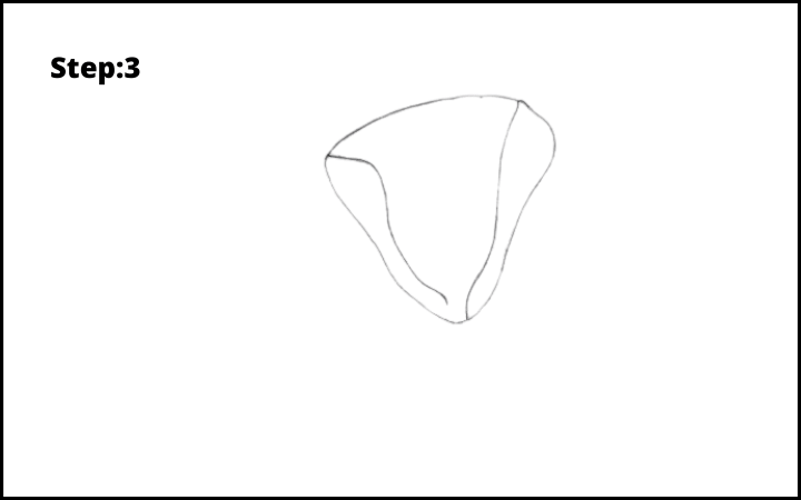 how to draw a magnolia flower step 3