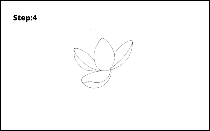 how to draw lotus flower step 4