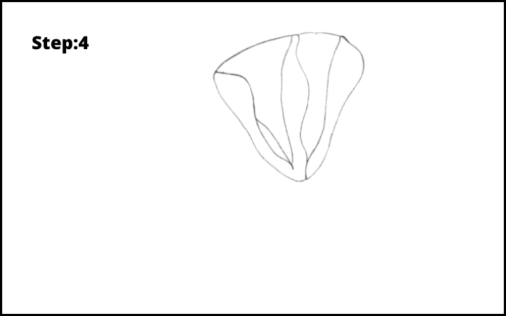 how to draw a magnolia flower step 4