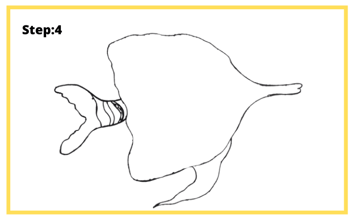 How to draw Butterflyfish  step 4