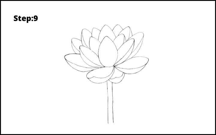 how to draw lotus flower step 9