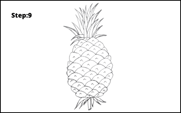 How to draw a pineapple step 9