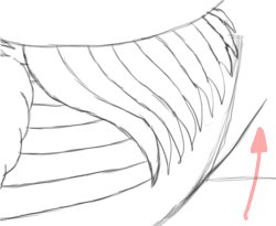 Step 7: Draw Hind End
