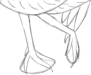 Step 9: Legs and Feet Details