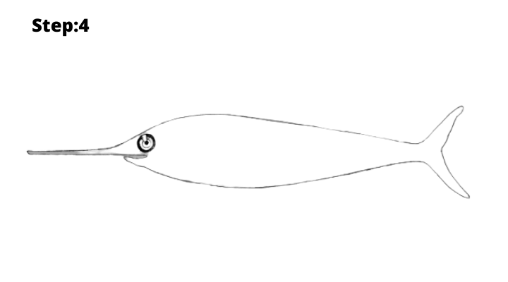 Step-4 : Draw the fish Tail