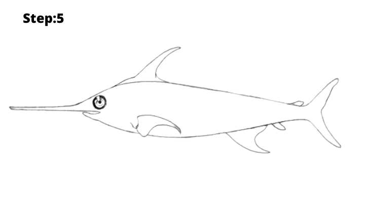 Step-5 : Draw  the fish fin