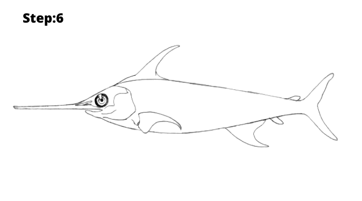 Step-6 : Draw the fish gill cover