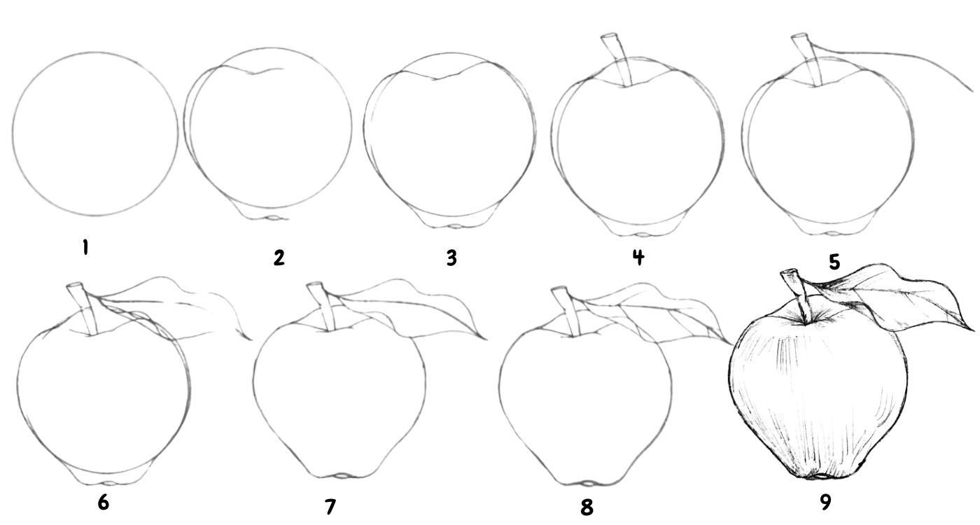 How to draw an apple step by step