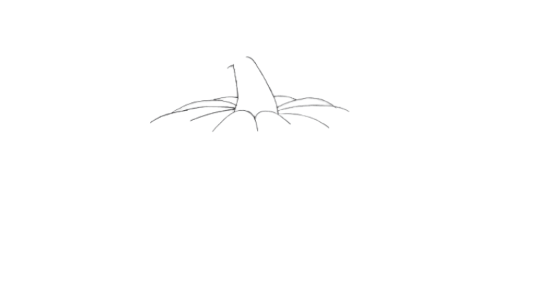 How to draw a pumpkin step 2