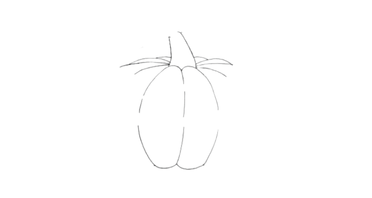 How to draw a pumpkin step 3