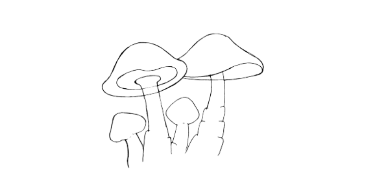 mushroom drawing step 6