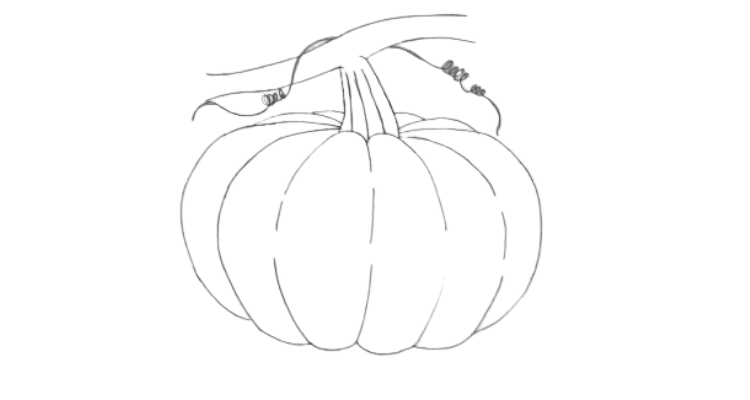 How to draw a pumpkin step 7