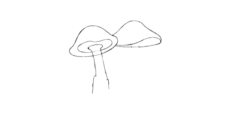 mushroom drawing step 3
