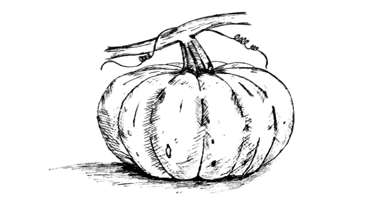 pumpkin drawing,How to draw a pumpkin step by step,How to draw a pumpki,,best pumpkin pencil sketch drawing