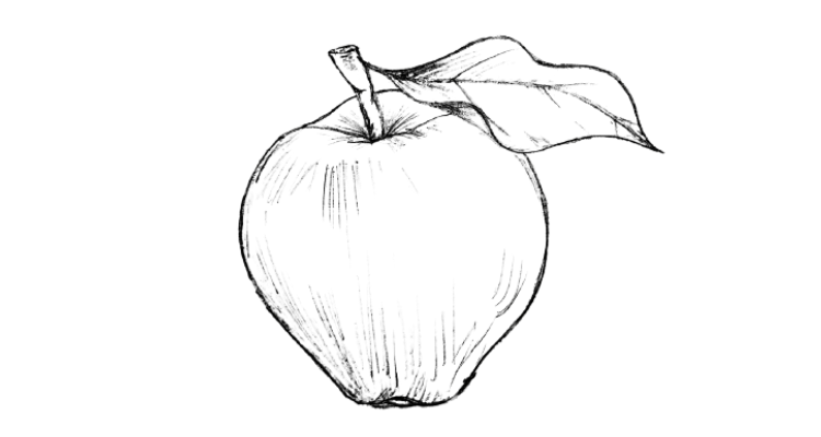 How to draw an apple step 9, apple drawing , apple pencil art, apple draw , apple sketch