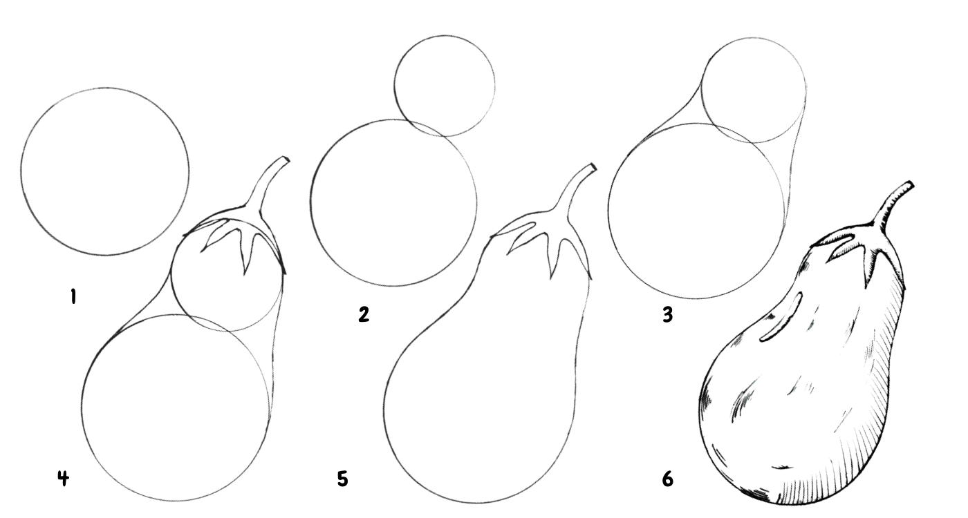 How to Draw Brinjal or Eggplant Step by Step