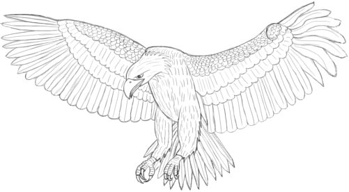 How to Draw an Eagle