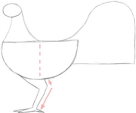 Draw  ROOSTER Simple Legs