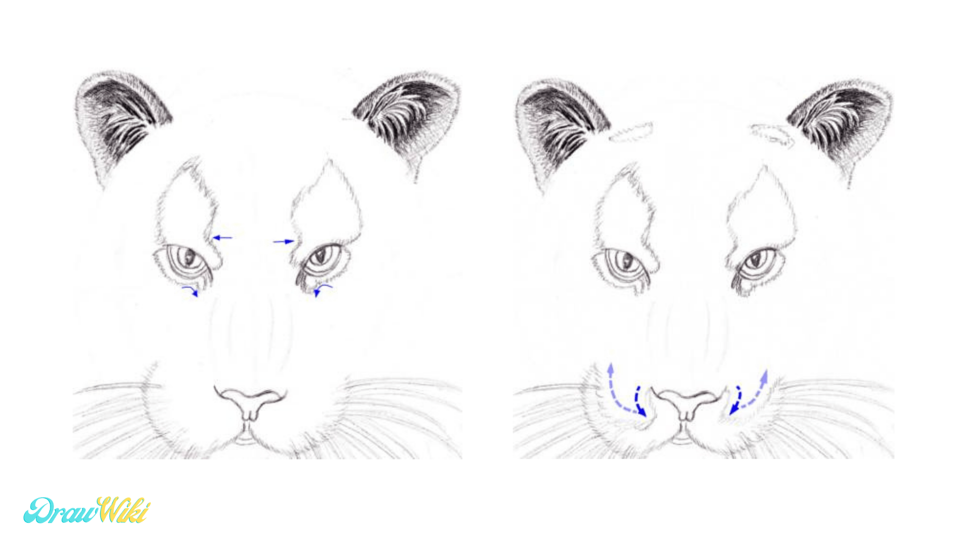 Step 11:  Draw White Fur Pattern