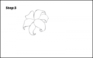 11+ Step by Step lily flower drawing Easy ways. » Drawwiki