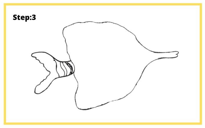 How to draw Butterflyfish  step 3