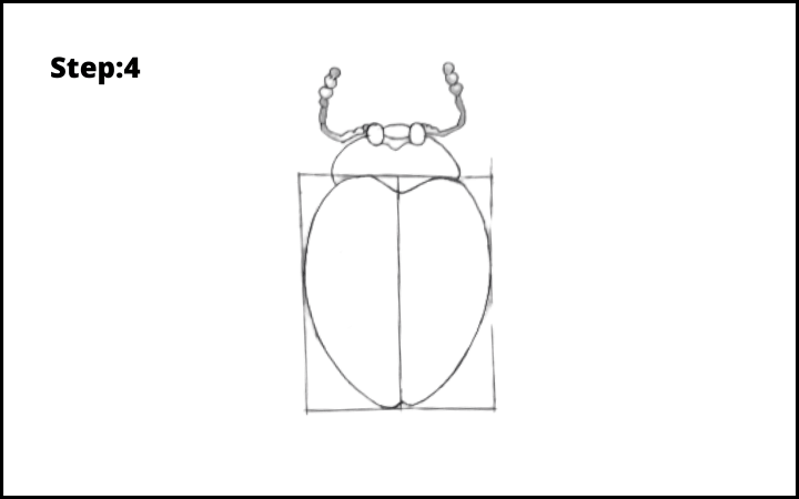 How to draw a bug  step 4