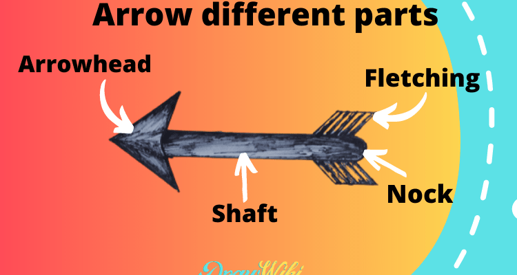 Arrow different parts