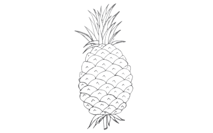 How to draw a pineapple step by step Guides