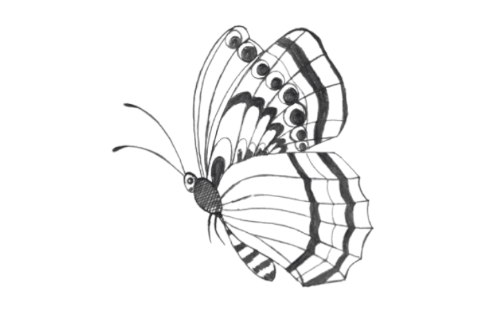 How to draw a butterfly