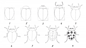 How to draw a bug » Drawwiki