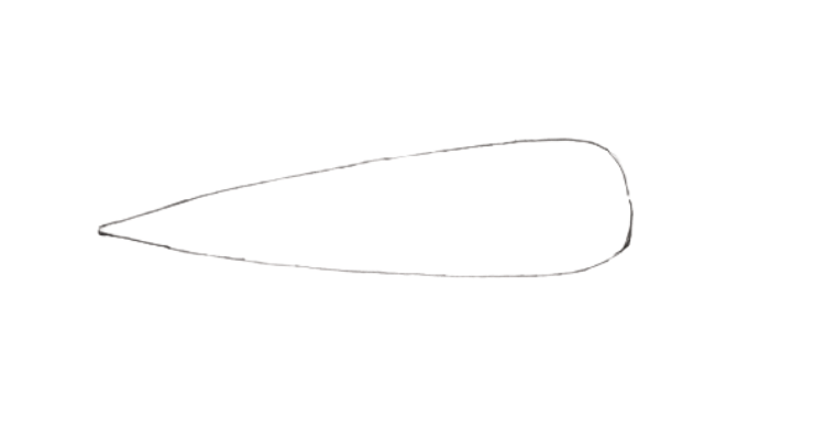 How to draw a carrot step 1