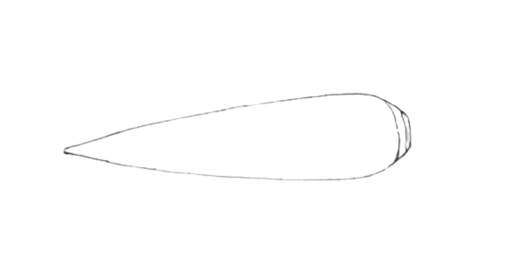 How to draw a carrot step 2