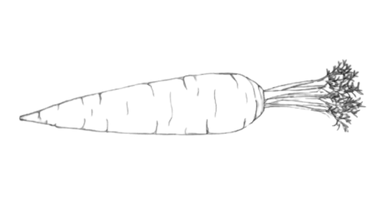 How to draw a carrot step 6
