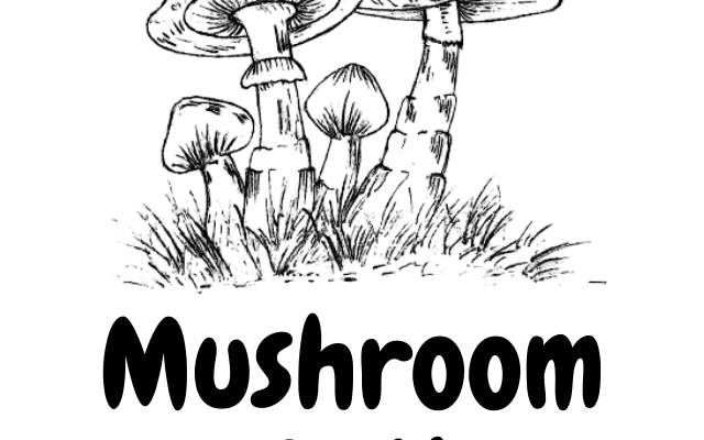 Mushroom Art!