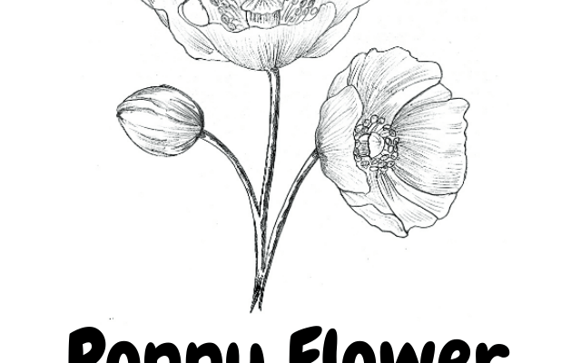 Poppy Flower Art!