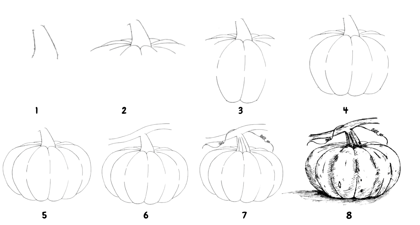 How to draw a pumpkin step by step